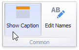 Layout_ShowCaption_Ribbon