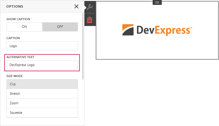 Web Dashboard - Set alt text for image