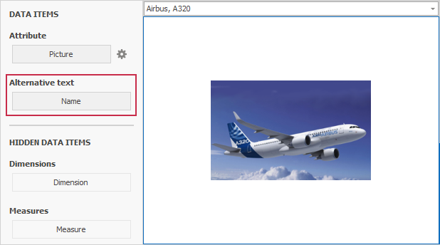 WinForms Dashboard - Set alt text for Bound Image