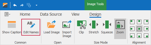 WinForms Dashboard - Edit names from Ribbon