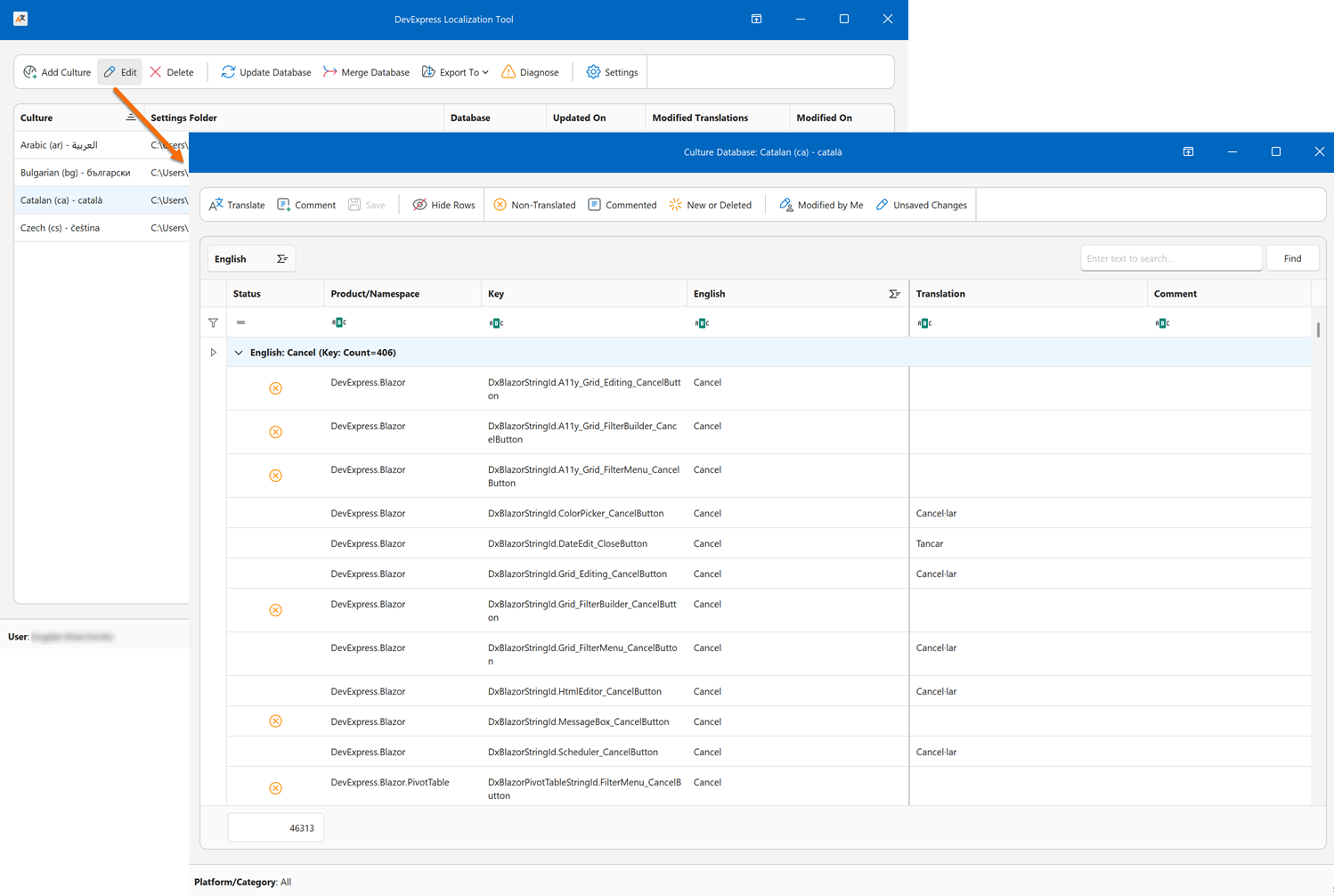 Localization Tool - Editing UI, DevExpress