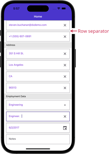 DevExpress DataFormView for .NET MAUI - Row separators