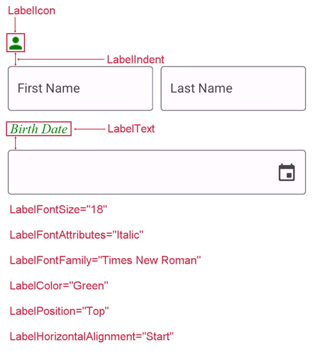 DevExpress Data Form for MAUI - Labels