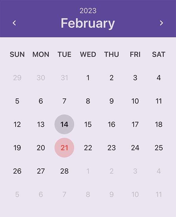 Get Started with DevExpress Calendar for .NET MAUI | .NET Multi ...