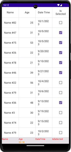 DevExpress Grid for .NET MAUI - Grid total summary appearance template