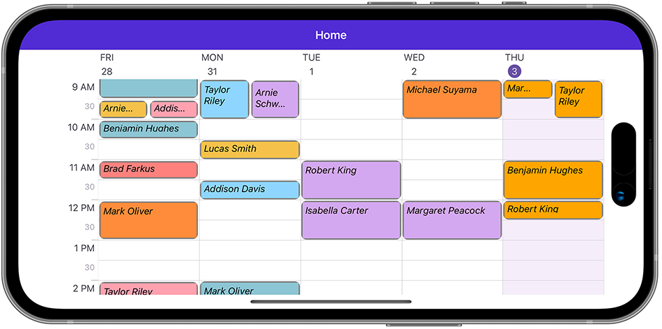 Scheduler Appearance - Appointment