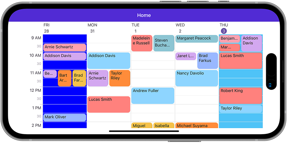 Scheduler - Day Appearance