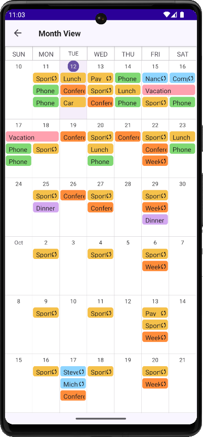 DevExpress Scheduler for MAUI - Customize month view