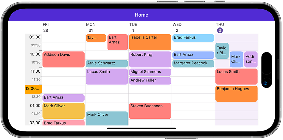 Scheduler - Time Ruler Appearance