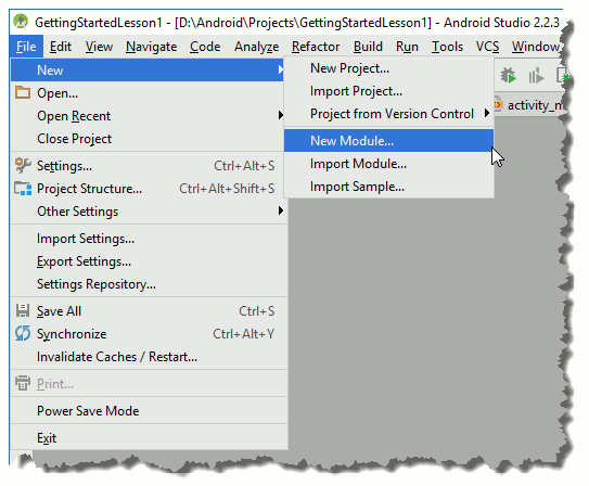 The New Module menu item.