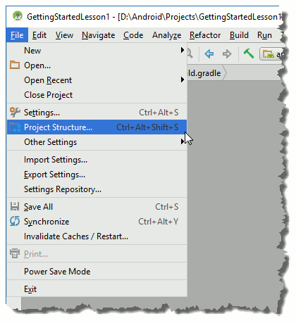 The Project Structure menu item.