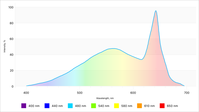 Area Segment Colorizer