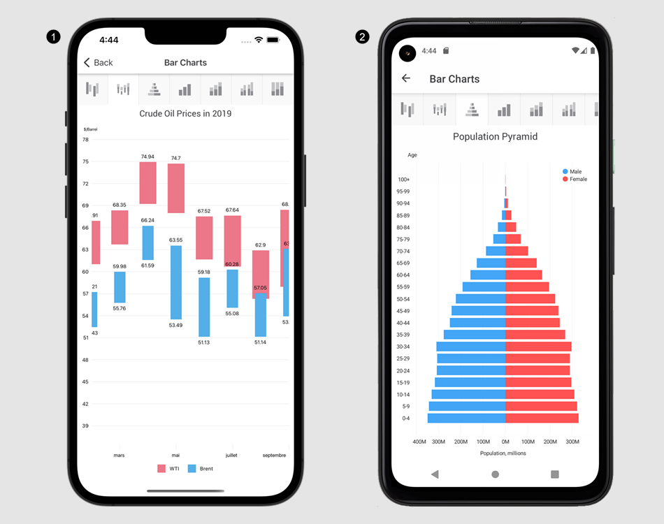 devexpress xamarin project