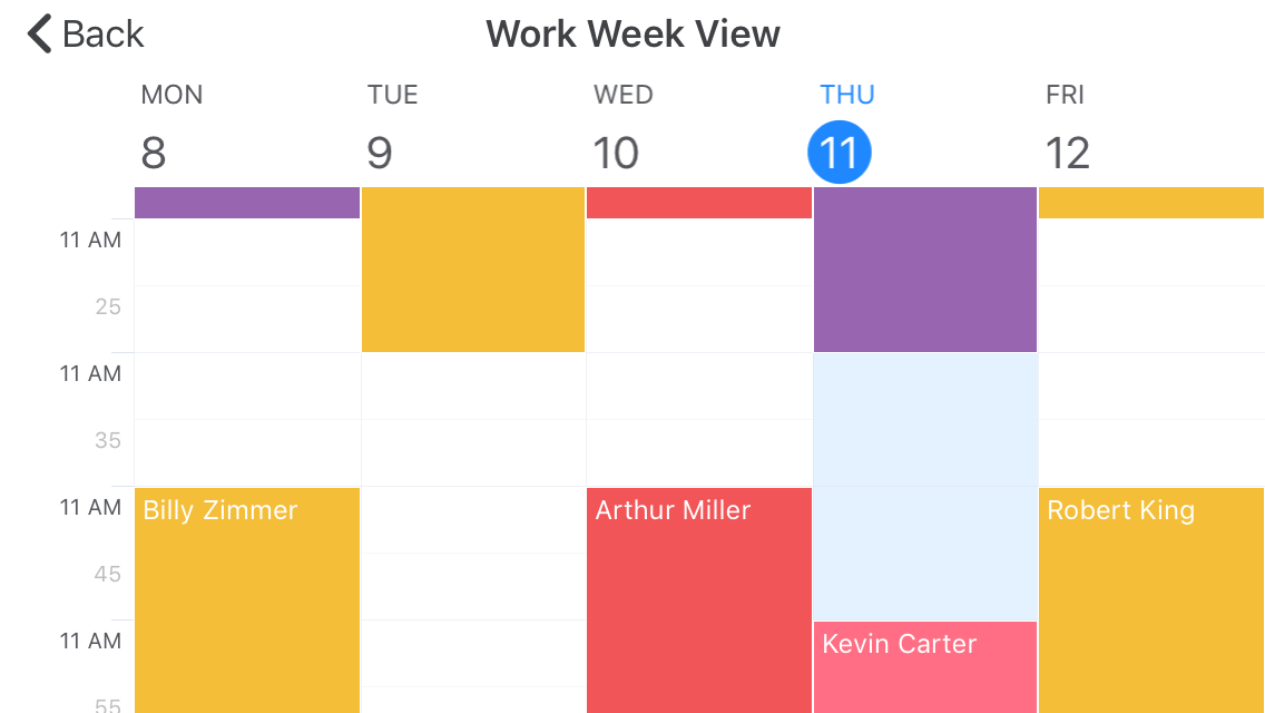 Work Week View