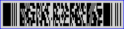 DevExpress Barcode Generator - PDF417 barcode