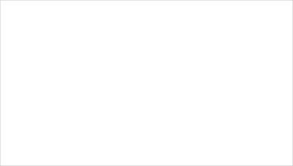 DevExpress Presentation API - Default layouts - Blank