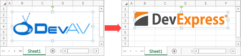 Replace a worksheet image - Use actual size