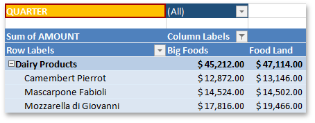 Spreadsheet_PivotTableElement_PageFieldLabel