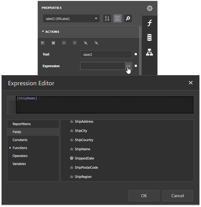 report-server-control-data-binding-property