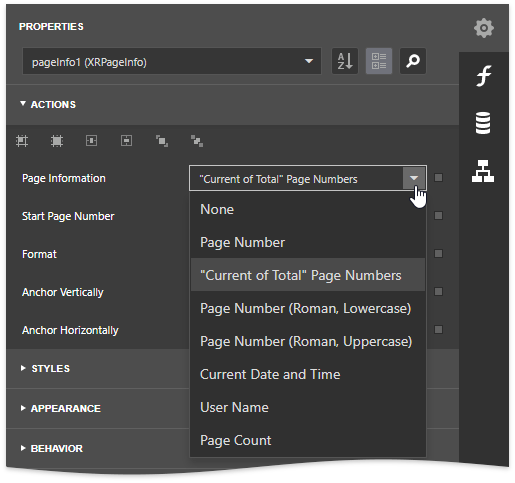 report-server-page-info-number-formats