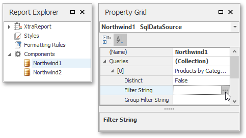 report-server-win-data-source-filter-string