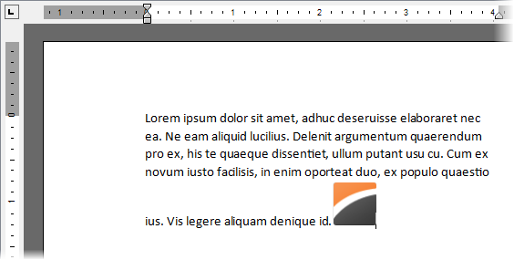 VCL Shared Libraries: An Inline Image Example in a Rich Text Document