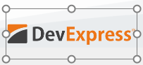VCL Shared Libraries: Image Widget — Proportional Stretch Image Mode