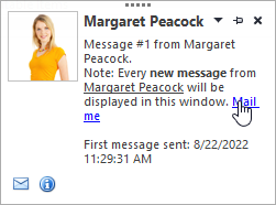 An alert window example