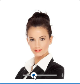 VCL Editors Library: An Image Editor Example
