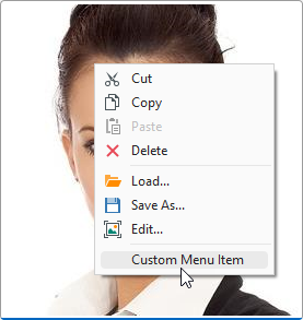 VCL Editors Library: A Custom Context Menu Example