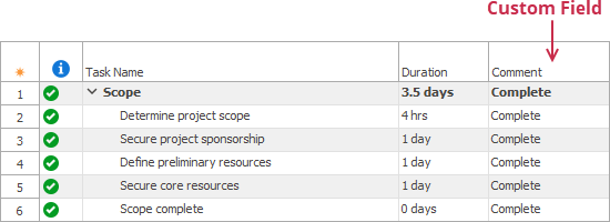 Custom Field Example