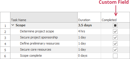 custom-field-example