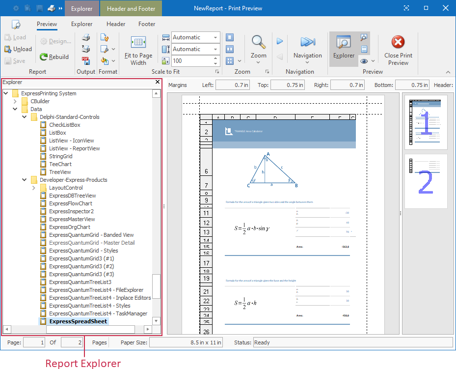 Print Preview Dialog with Report Explorer