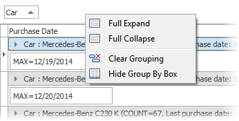 VCL Data Grid: A Pop-Up Menu in the Group By Box