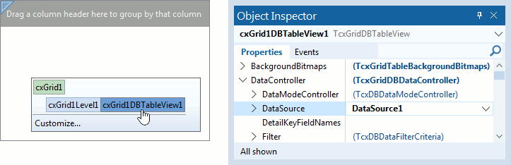 DataSource Property in the Object Inspector
