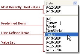 VCL Data Grid: A Filter Drop-Down Window Example