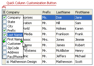 VCL Data Grid: A Quick Column Customization Button