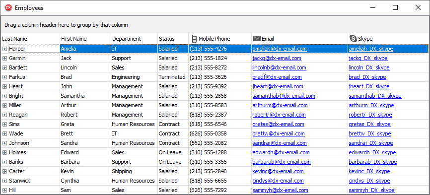 VCL Data Grid: A Source Data Grid Example