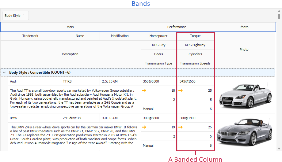 VCL Data Grid: A Banded Table View Column Example