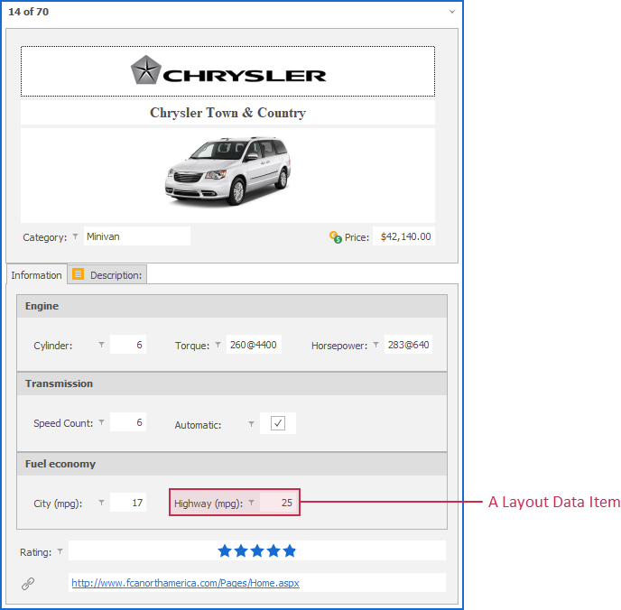 VCL Data Grid: A Layout Item