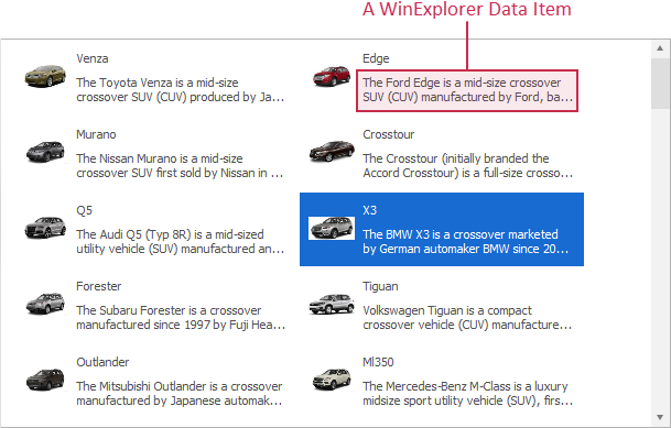 VCL Data Grid: A WinExplorer Data Item