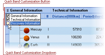 VCL Tree List: A Quick Band Customization Button