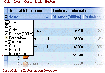 VCL Tree List: A Quick Column Customization Button