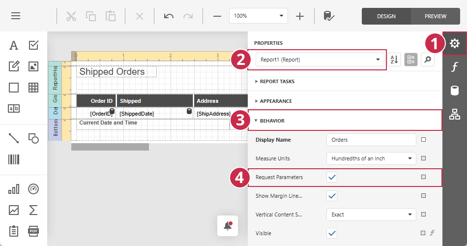Report Designer - Request Parameters
