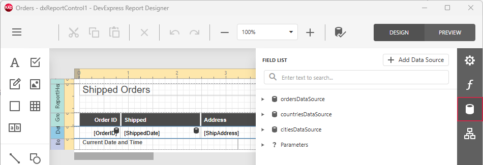 Report Designer - Report Fields