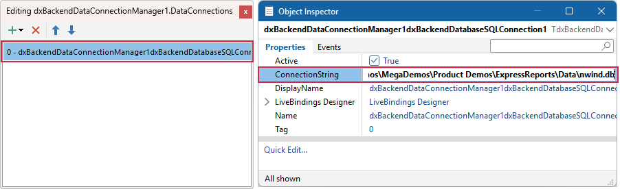 VCL Reports: Paste the Copied Connection String