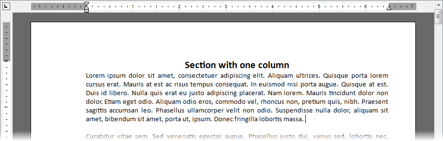 VCL Rich Edit Control: A One-Columned Document Section