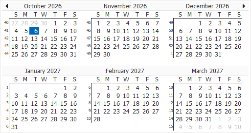 VCL Scheduler: A Date Navigator Component Example