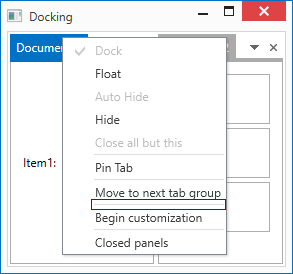 DocumentPanel Context Menu - Customization Operations Separator