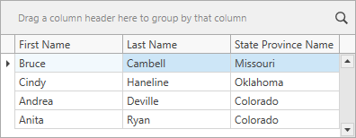 How To Bind The Grid To A Collection Of Columns Wpf Controls Devexpress Documentation